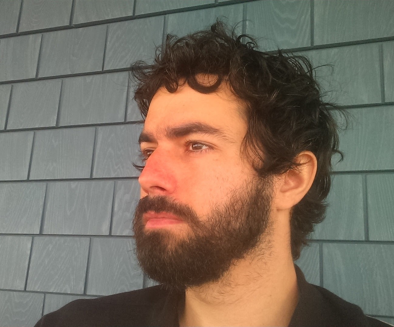 The input photograph: a bearded man in three-quarter profile against a blurred background